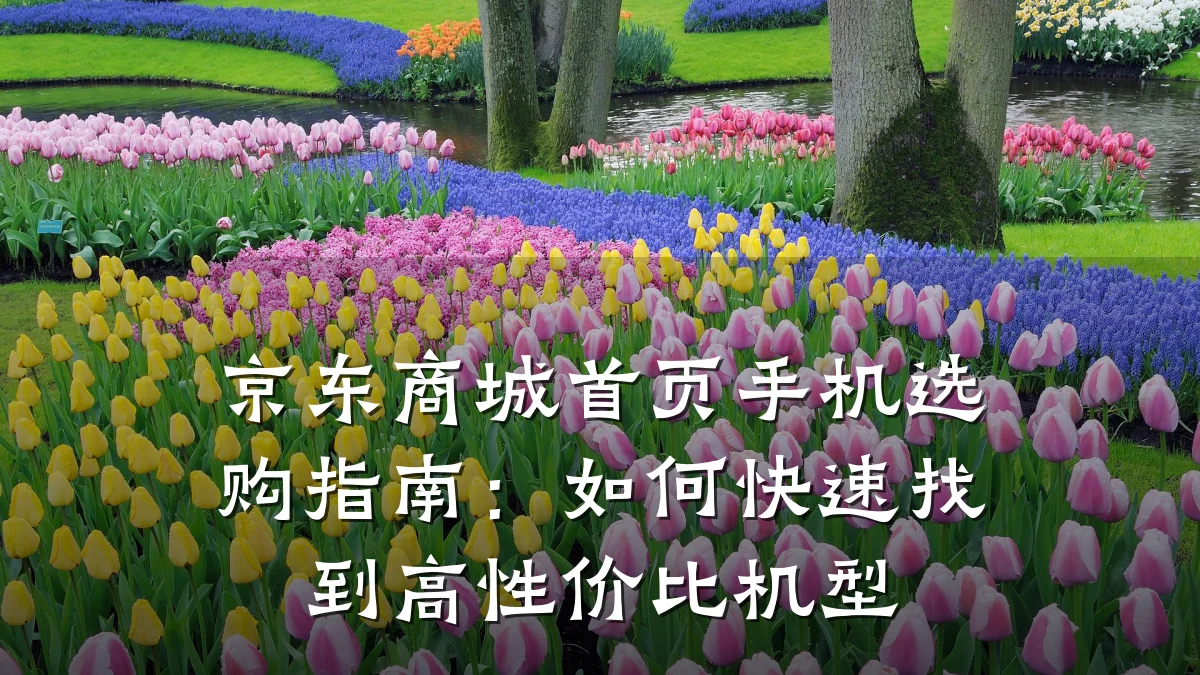 京东商城首页手机选购指南：如何快速找到高性价比机型