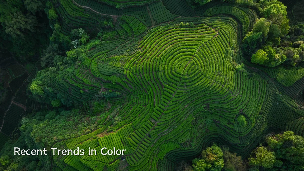 Recent Trends in Color