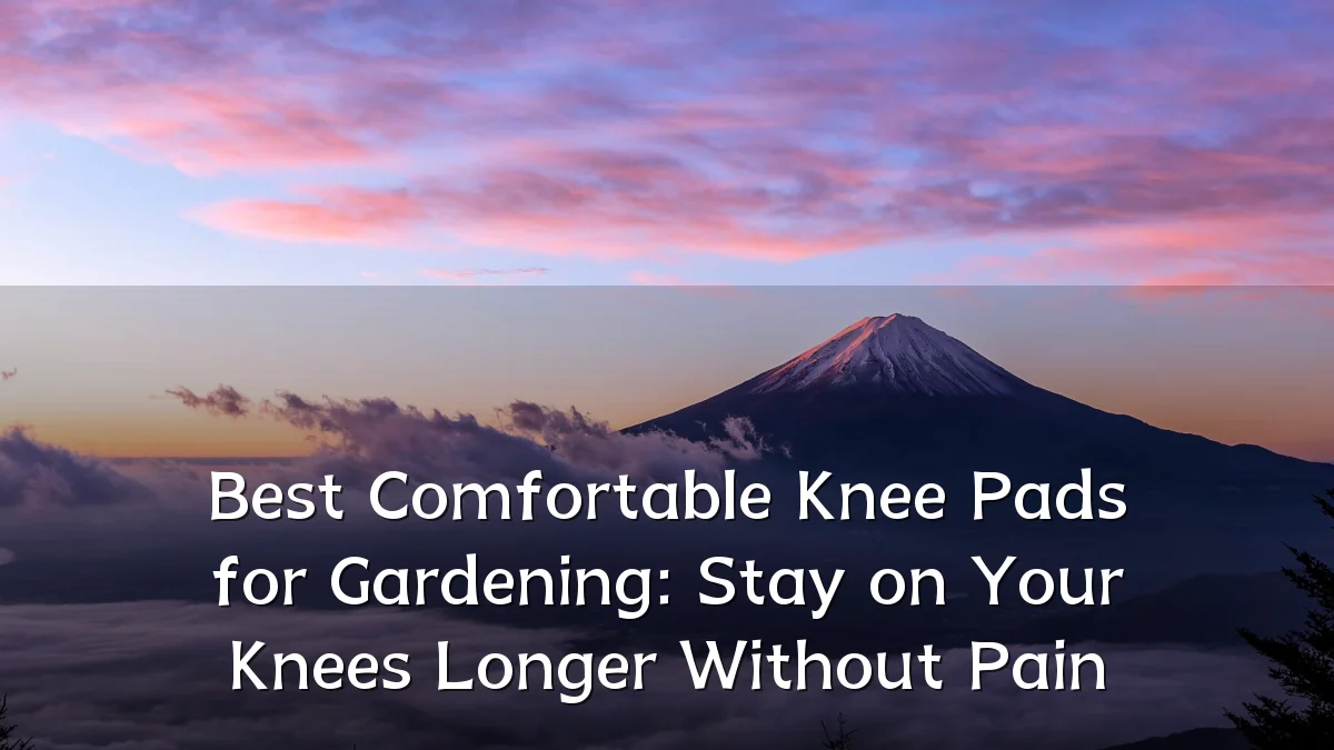 Best Comfortable Knee Pads for Gardening: Stay on Your Knees Longer Without Pain