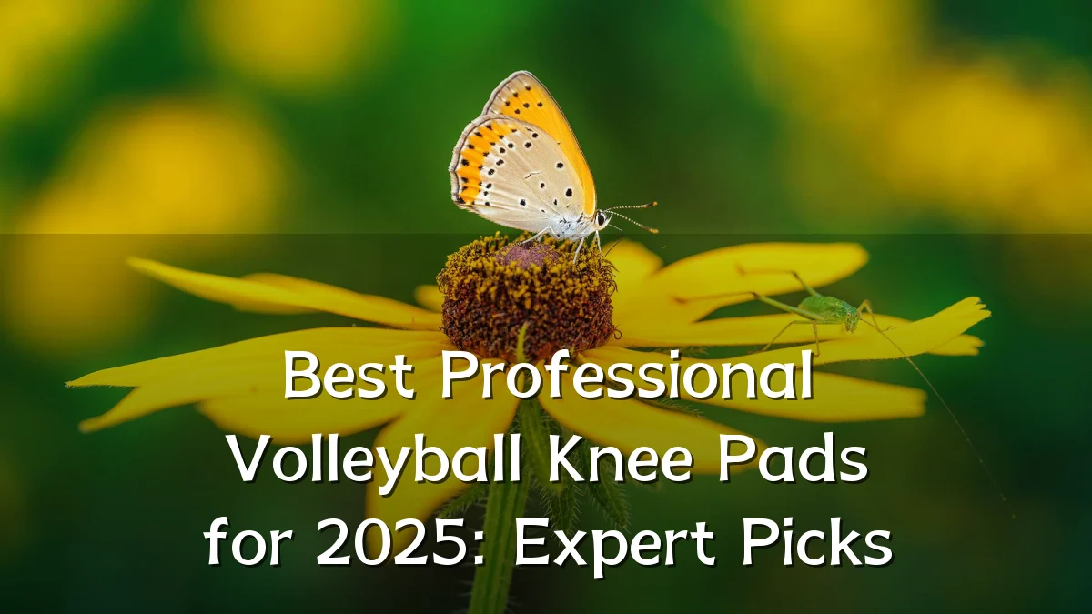 Best Professional Volleyball Knee Pads for 2025: Expert Picks