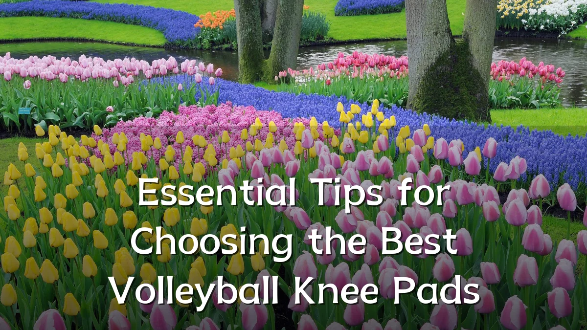Essential Tips for Choosing the Best Volleyball Knee Pads