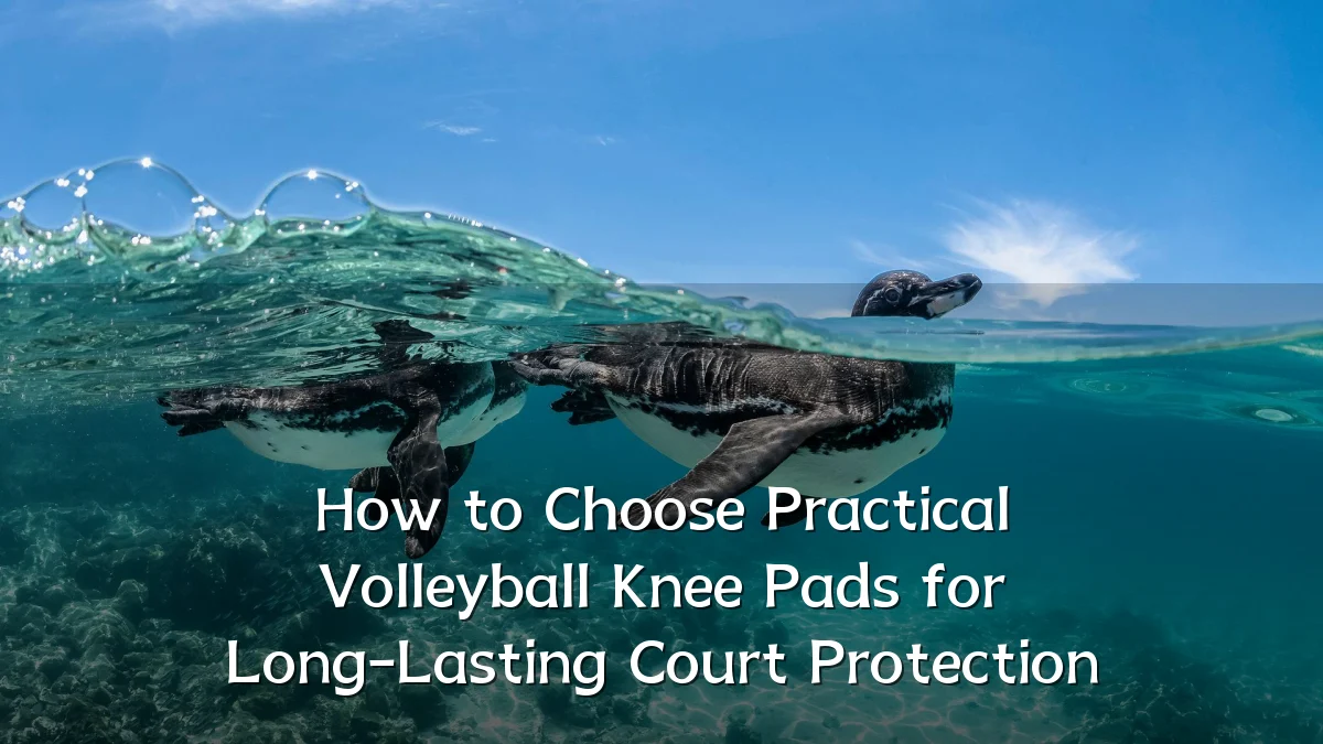 How to Choose Practical Volleyball Knee Pads for Long-Lasting Court Protection
