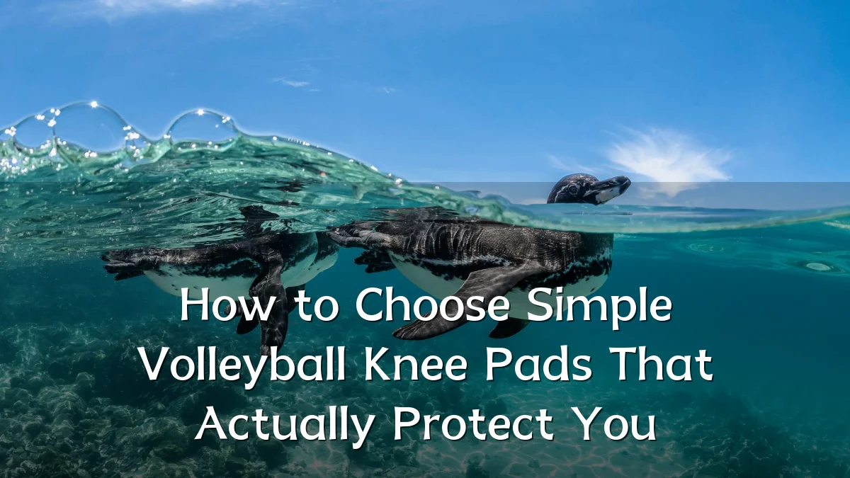 How to Choose Simple Volleyball Knee Pads That Actually Protect You