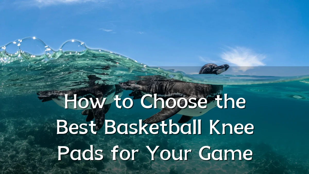 How to Choose the Best Basketball Knee Pads for Your Game