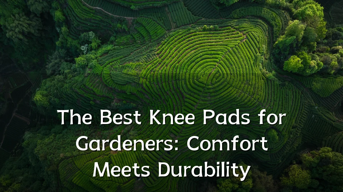 The Best Knee Pads for Gardeners: Comfort Meets Durability