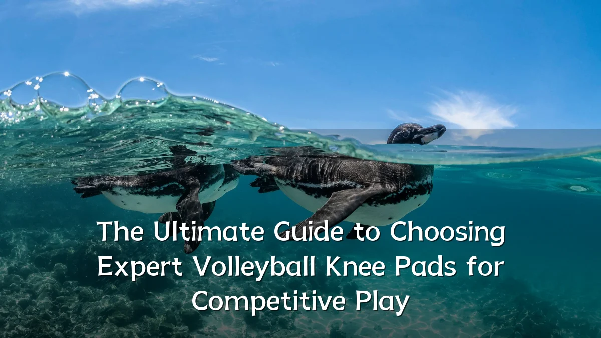 The Ultimate Guide to Choosing Expert Volleyball Knee Pads for Competitive Play