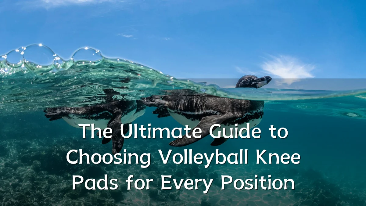 The Ultimate Guide to Choosing Volleyball Knee Pads for Every Position