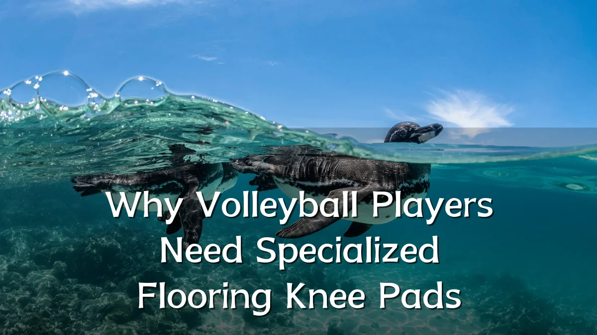 Why Volleyball Players Need Specialized Flooring Knee Pads
