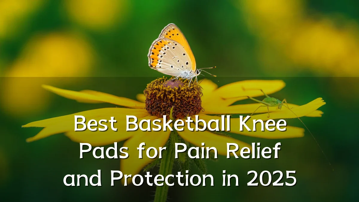 Best Basketball Knee Pads for Pain Relief and Protection in 2025