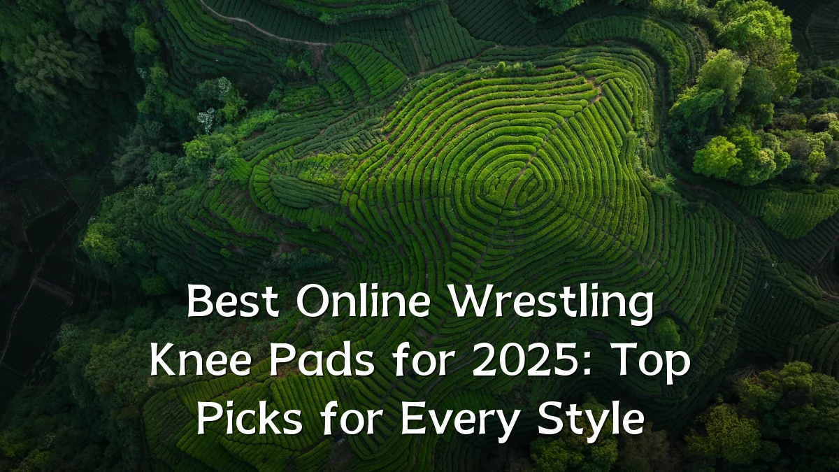 Best Online Wrestling Knee Pads for 2025: Top Picks for Every Style