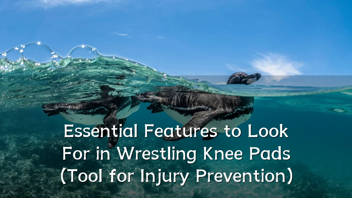 Essential Features to Look For in Wrestling Knee Pads (Tool for Injury Prevention)