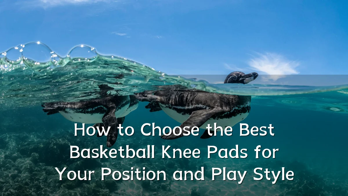 How to Choose the Best Basketball Knee Pads for Your Position and Play Style