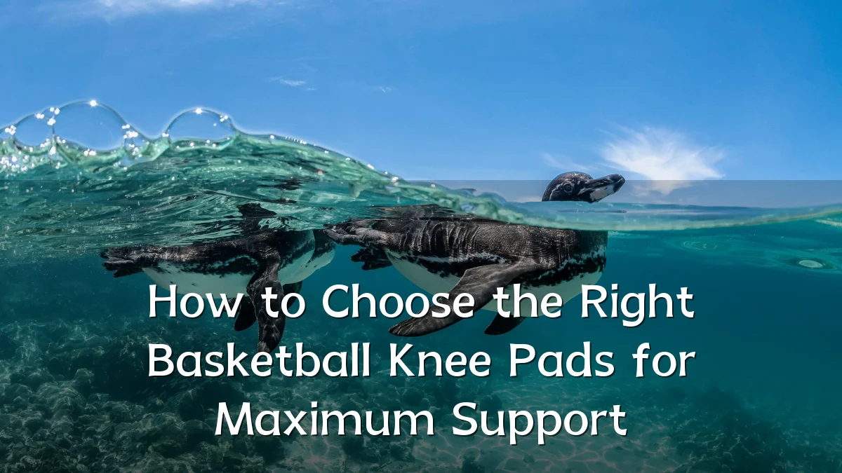 How to Choose the Right Basketball Knee Pads for Maximum Support