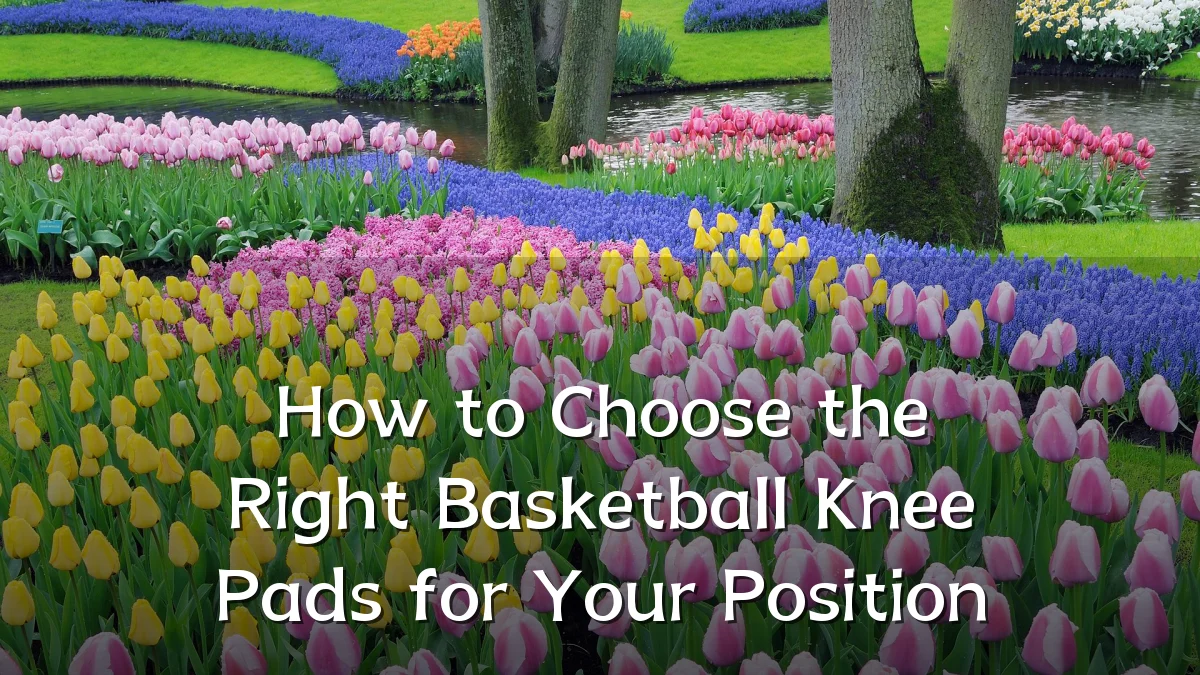 How to Choose the Right Basketball Knee Pads for Your Position