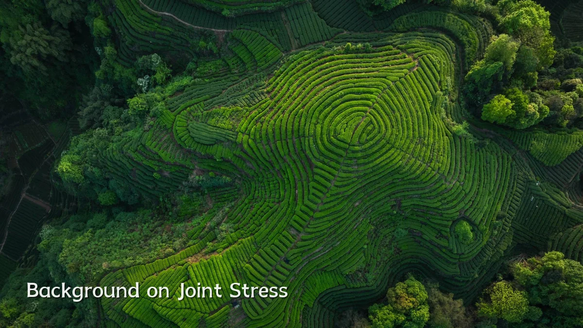 Background on Joint Stress