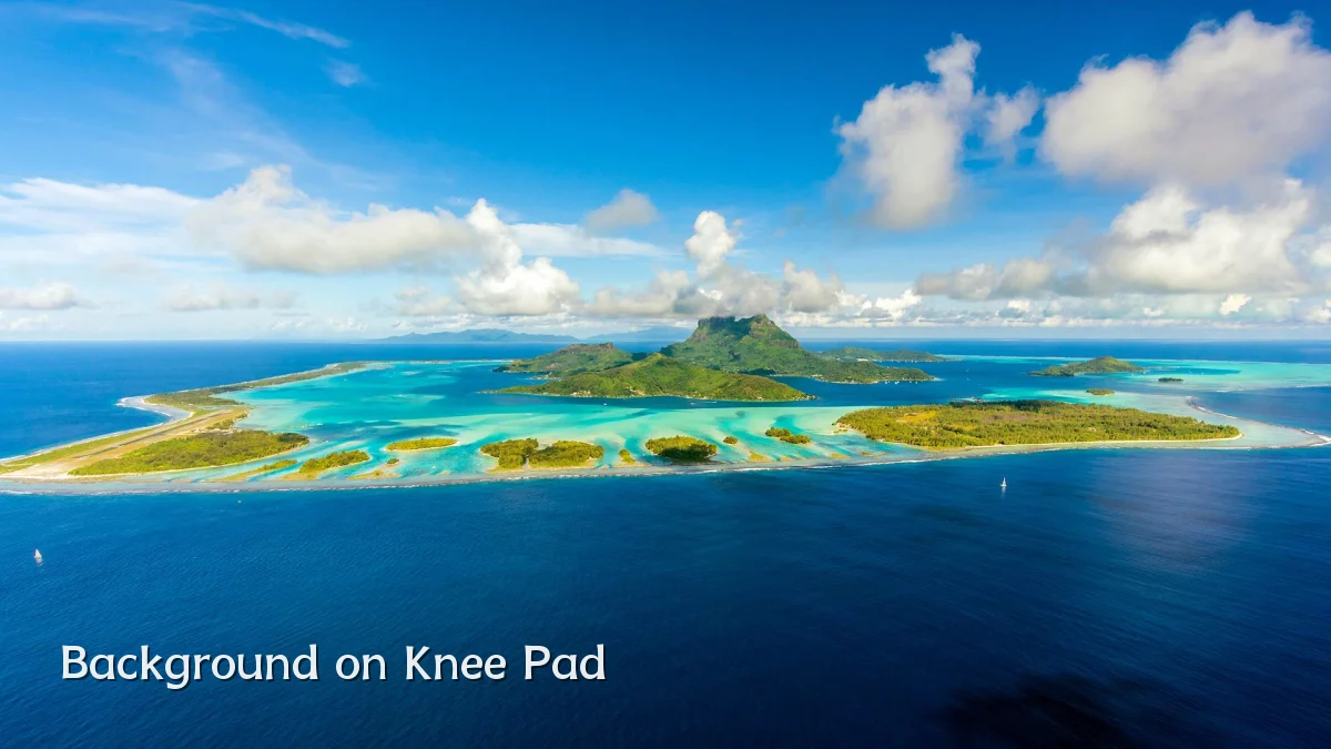 Background on Knee Pad