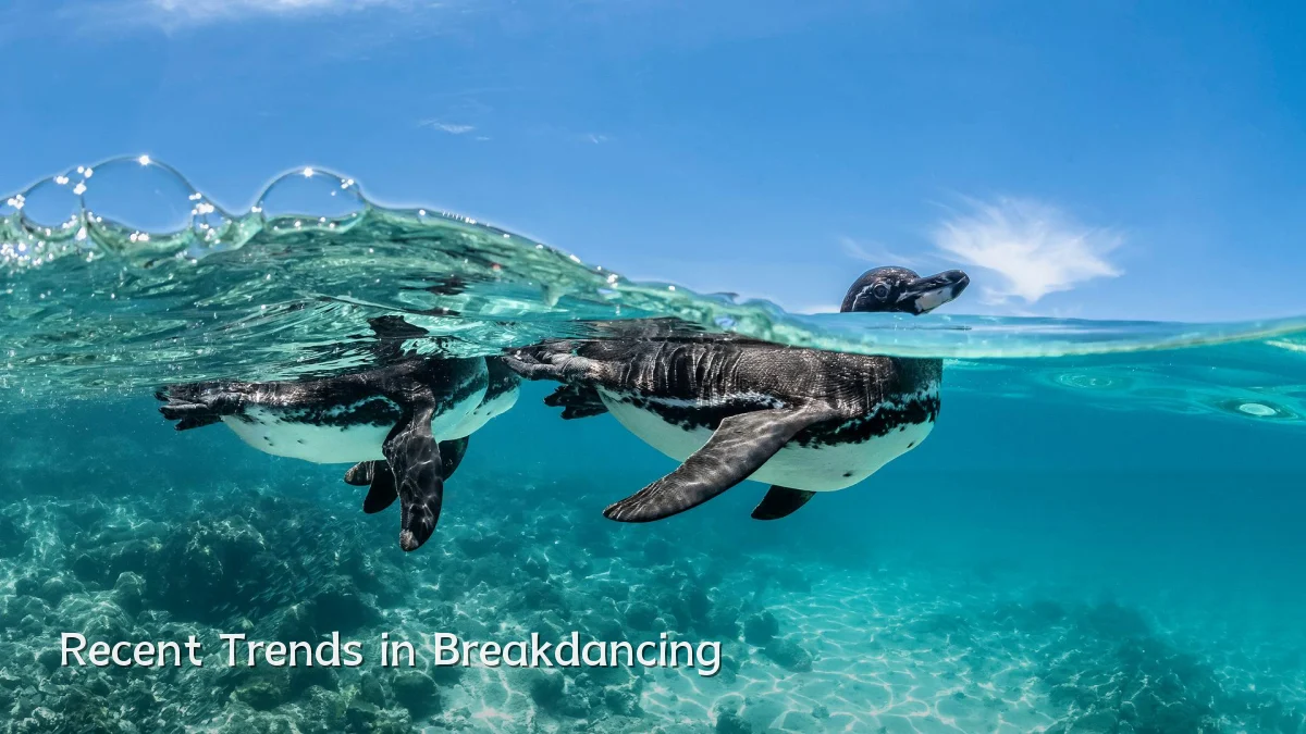 Recent Trends in Breakdancing