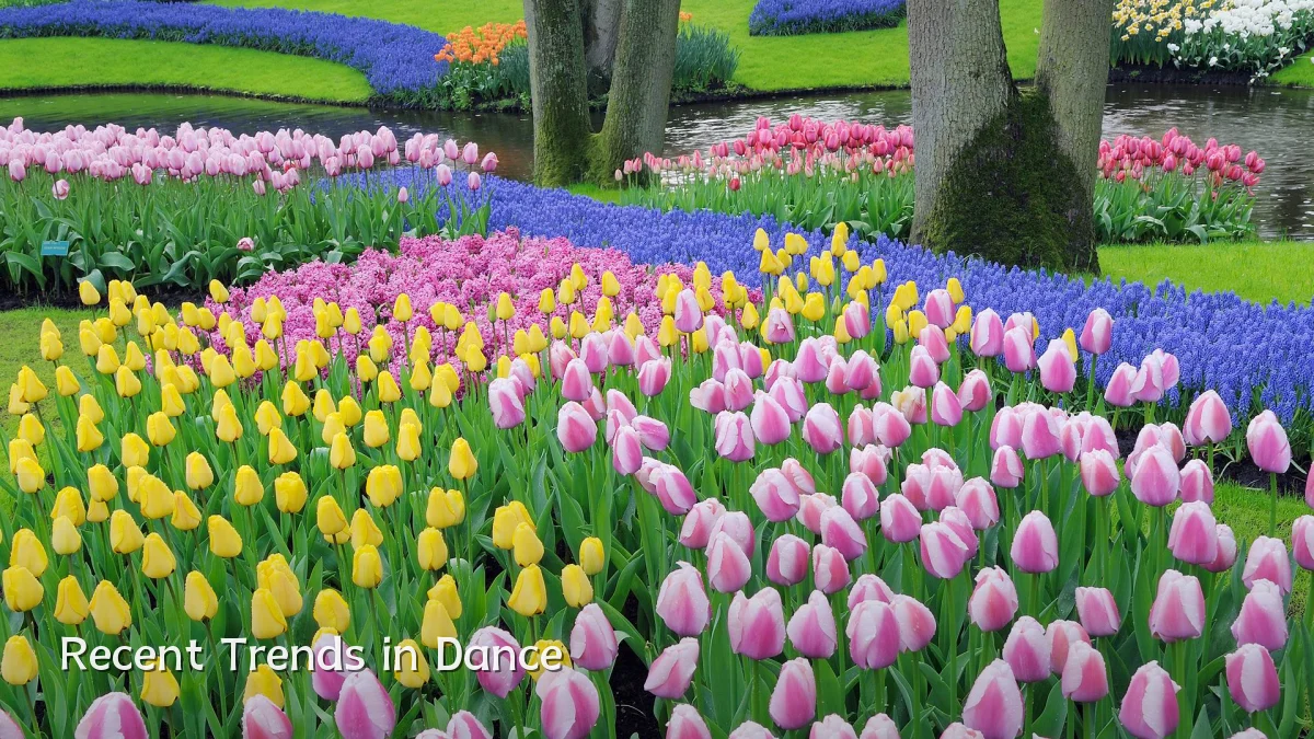 Recent Trends in Dance