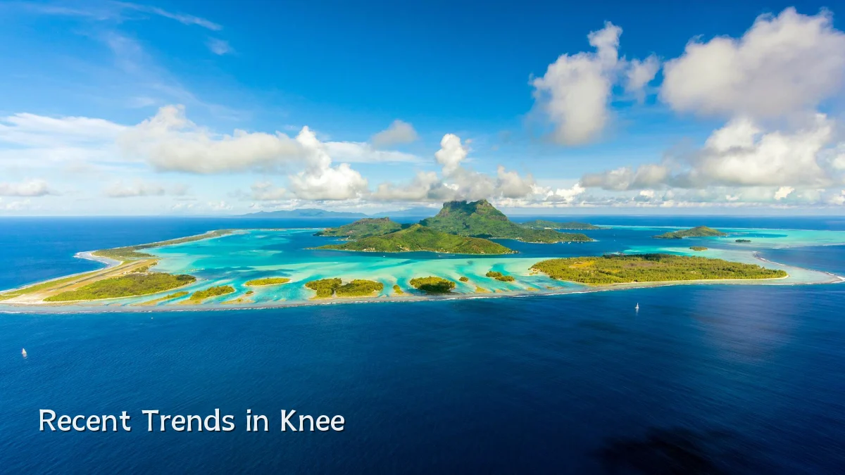 Recent Trends in Knee