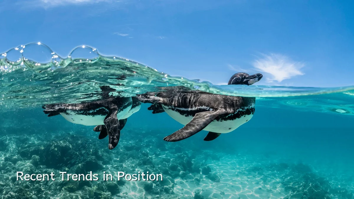 Recent Trends in Position