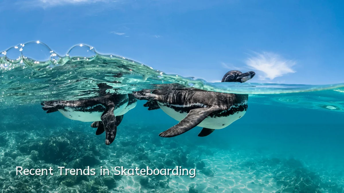 Recent Trends in Skateboarding