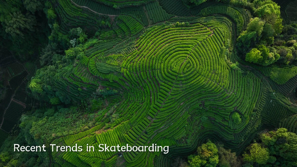 Recent Trends in Skateboarding