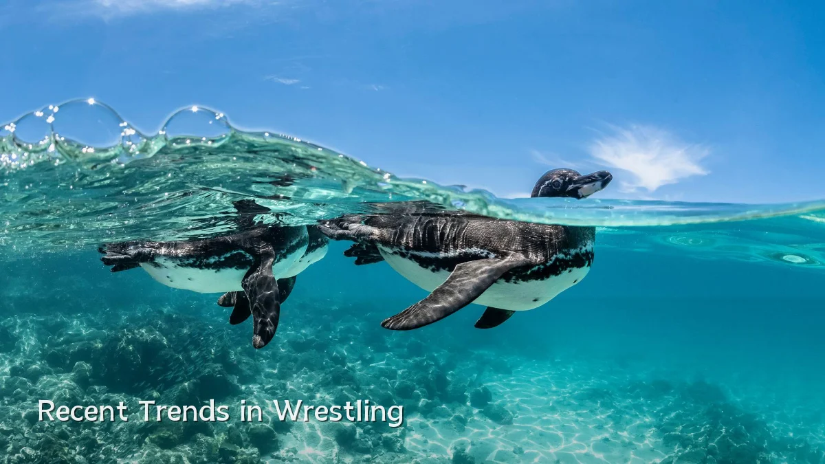 Recent Trends in Wrestling