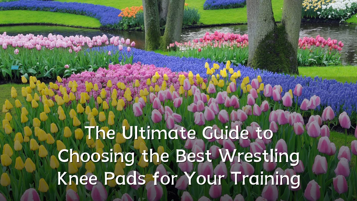 The Ultimate Guide to Choosing the Best Wrestling Knee Pads for Your Training