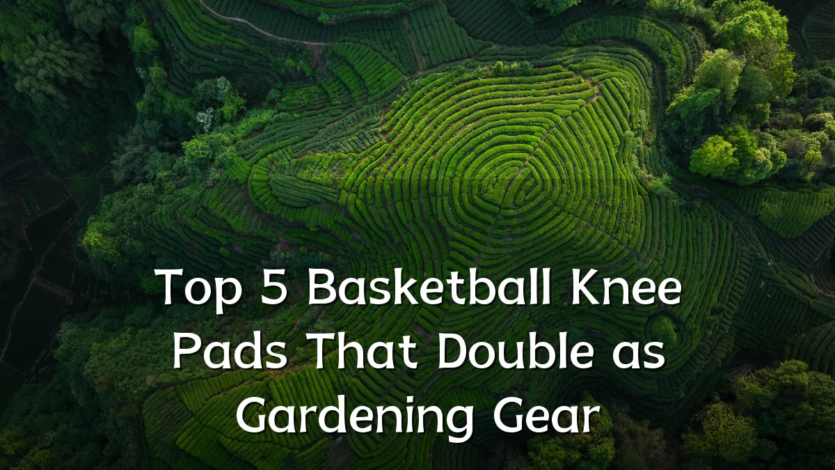 Top 5 Basketball Knee Pads That Double as Gardening Gear