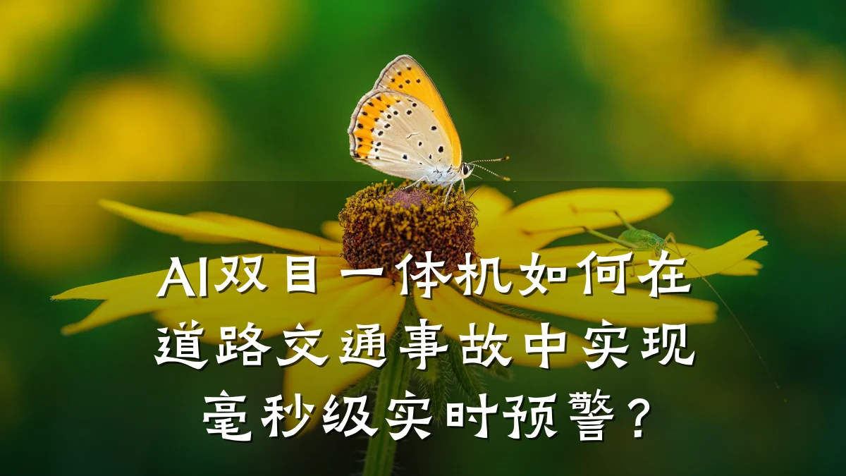 AI双目一体机如何在道路交通事故中实现毫秒级实时预警?
