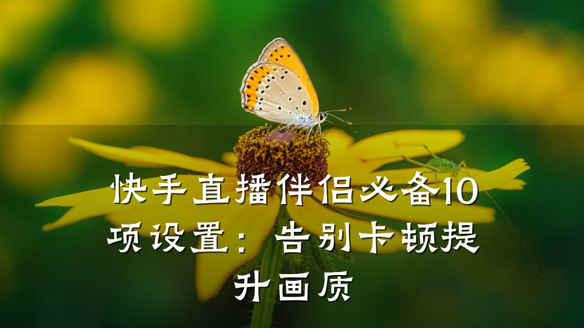 快手直播伴侣必备10项设置：告别卡顿提升画质