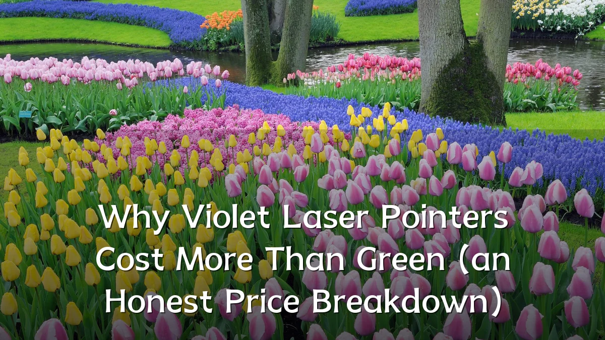 Why Violet Laser Pointers Cost More Than Green (an Honest Price Breakdown)